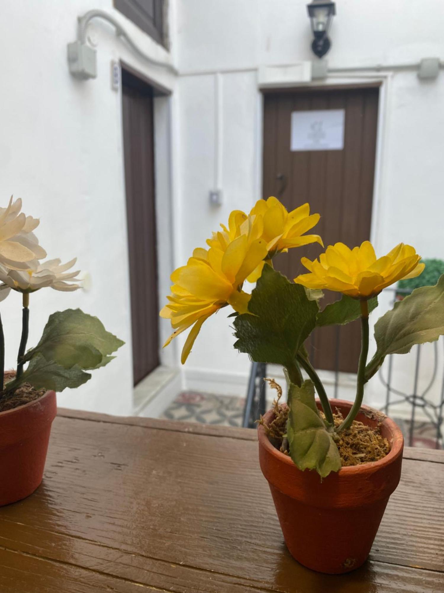 Florhouse Pacini Διαμέρισμα Κατάνια Εξωτερικό φωτογραφία